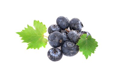 Beyaz arkaplanda yaban mersini izole edilmiş.