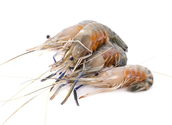 Crevettes fraîches isolées sur fond blanc. Ceci a clipping pat — Photo