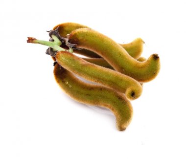 Beyaz zemin üzerinde ısırgan otu kahverengi kapsülleri (Mucuna pruriens).