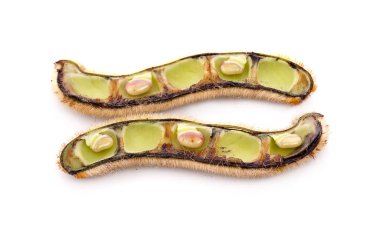 Beyaz zemin üzerinde ısırgan otu kahverengi kapsülleri (Mucuna pruriens).