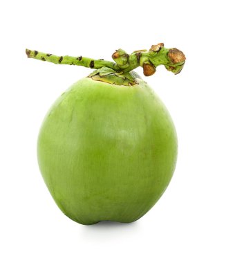 su damlası yeşil hindistan cevizi beyaz arkaplanda izole