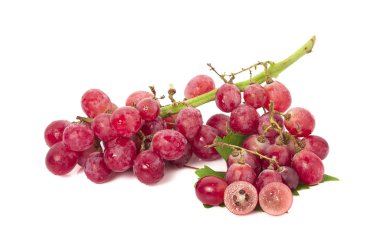 Beyaz zemin üzerinde yaprak izole kırmızı üzüm