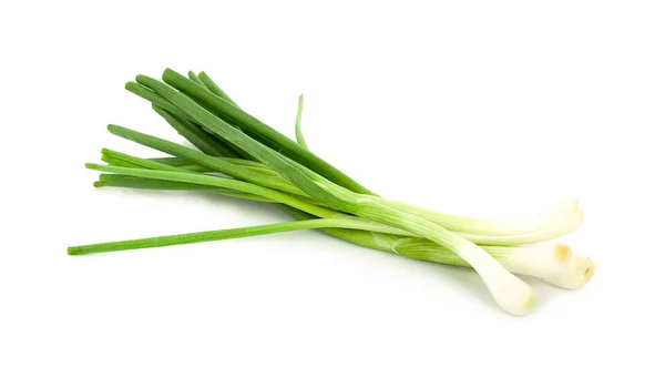 Cipolla verde isolata sullo sfondo bianco — Foto Stock