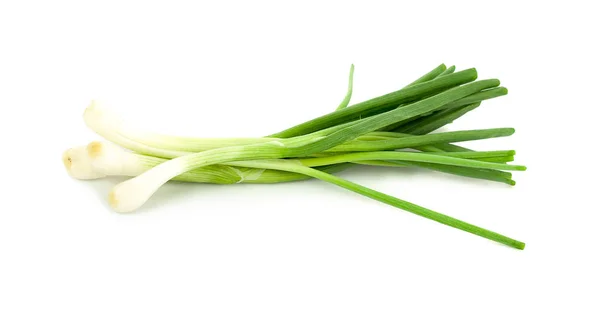 Cebolla verde aislada en el fondo blanco — Foto de Stock