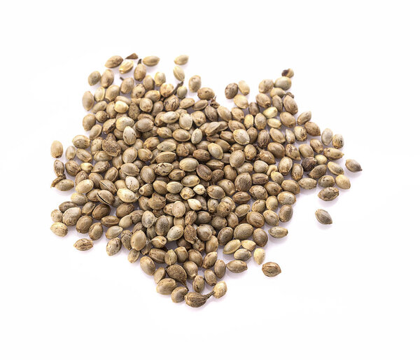 Heap of hemp seeds on white background