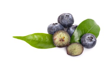 Beyaz arkaplanda yaban mersini izole edilmiş.