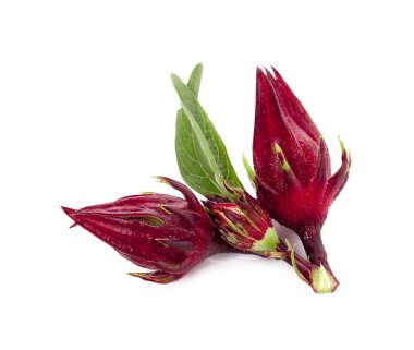 Roselle beyaz arkaplanda izole edildi