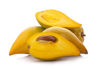 Yumurta meyve, Canistel, sarı sapot (Pouteria campechiana (Kunth)