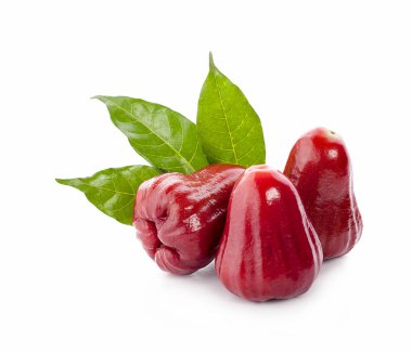 Beyaz arkaplanda yalıtılmış gül elmaları veya chomphu