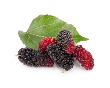 Beyaz arkaplanda yaprakları olan dut dutu