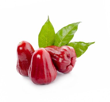 Beyaz arkaplanda yalıtılmış gül elmaları veya chomphu