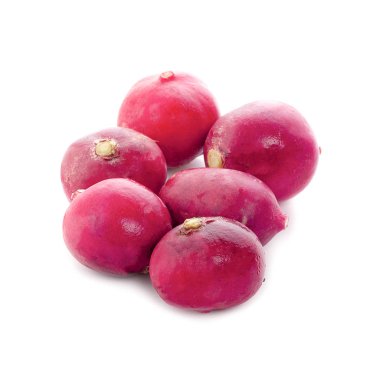 Beyaz arkaplanda küçük bahçe turpu izole edildi