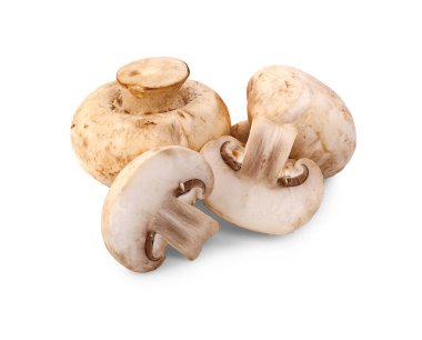 beyaz zemin üzerine champignon mantar