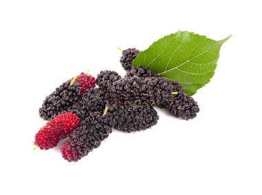 Beyaz arkaplanda yaprakları olan dut dutu