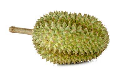 Durian beyaz arkaplanda izole edildi