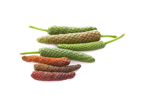 Long pepper or Piper longum isolated on white background — Stock Photo, Image