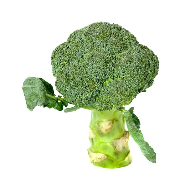 Verse broccoli geïsoleerd op witte achtergrond — Stockfoto