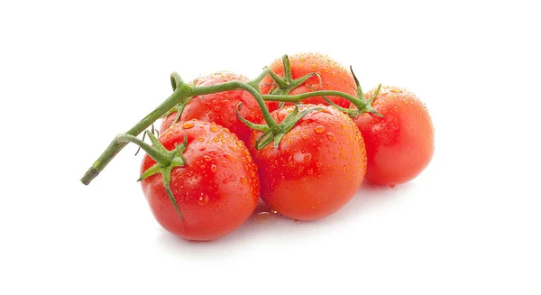 Frische Tomaten mit Wassertropfen. isoliert auf weißem Hintergrund — Stockfoto