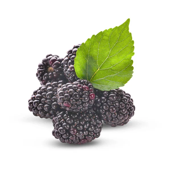 黑莓在白色背景上是孤立的 — 图库照片