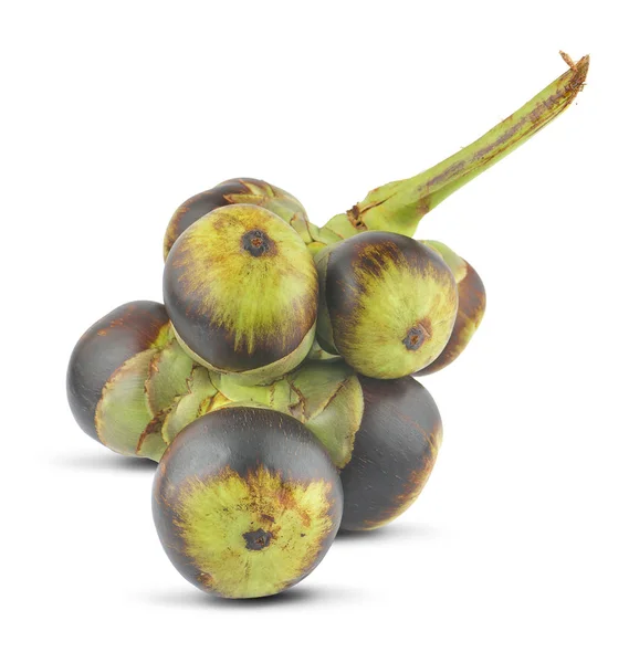 Şarap tohumu meyvesi, beyaz bir zemin üzerinde izole edilmiş.