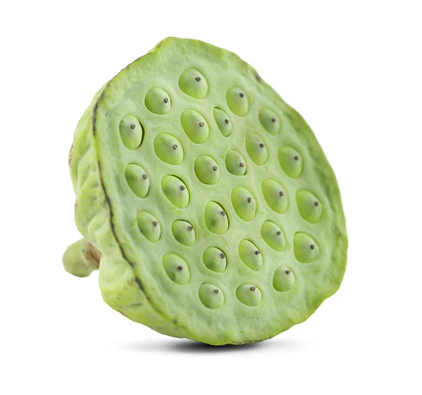 Nilüfer tohumları beyaz arkaplanda izole edilmiş