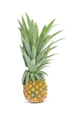 Ananas yakın plan beyaz arka planda izole edilmiş.