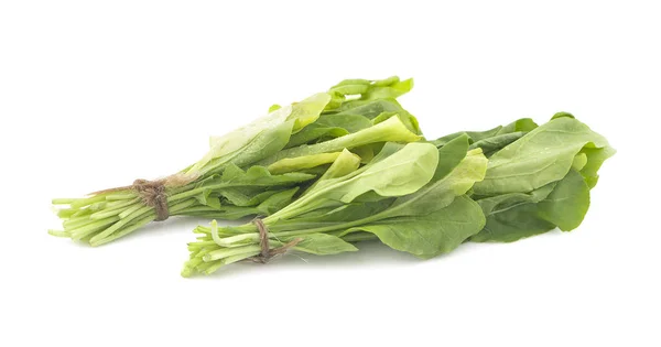 Chiński jarmuż warzywa izolowane na białym tle — Zdjęcie stockowe
