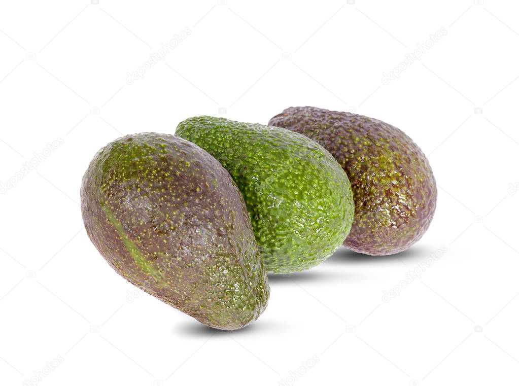 avocado fruits an isolated on white background