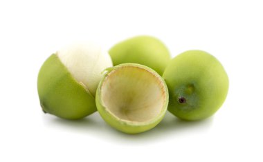 Nilüfer tohumu beyaz arkaplanda izole edilmiş.