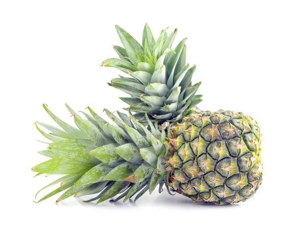 Pineapple fruit an isolated on white background — Stock Photo, Image