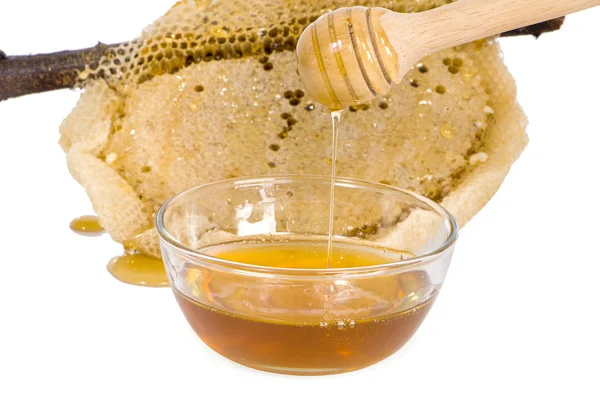 Pedaço de favo de mel. Fatia de mel um isolado no fundo branco — Fotografia de Stock