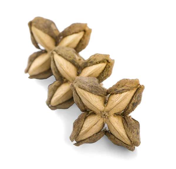 Ořechy Incas, sacha inchi arašídové semínko izolované na bílém backgro — Stock fotografie