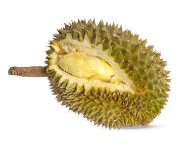 durian beyaz arkaplanda izole edilmiş bir kabuk soyar