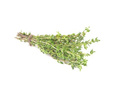 yeşil kekik demeti beyaz arkaplanda izole edilmiş