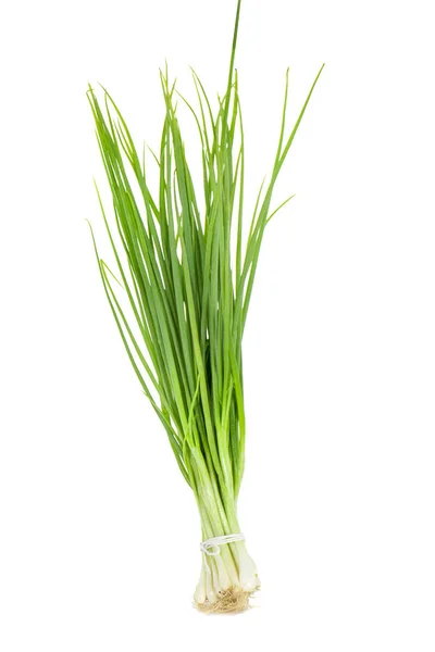 Green onion an isolated on the white background — Stock Photo, Image