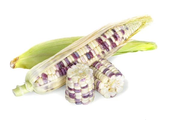 玉米在白色背景上被隔离 — 图库照片