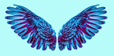 Melek kanatları arka planda izole