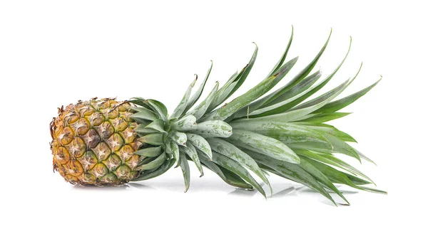 Single Whole Pineapple Isolated White Background — Stock Photo, Image