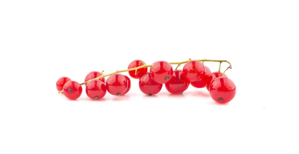 Czerwona Porzeczka Owoc Izolowany Białym Tle — Zdjęcie stockowe
