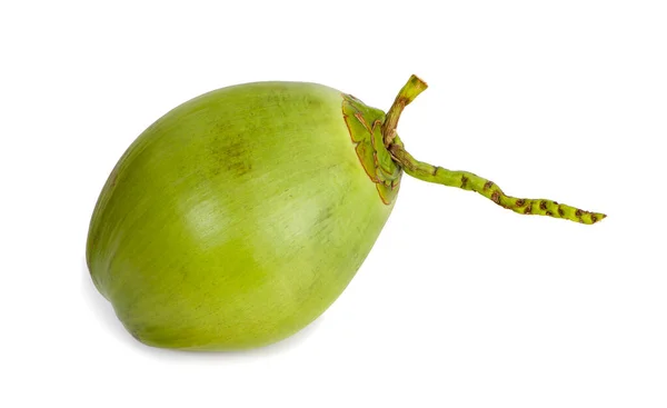 Green Coconut Fruit Isolated White Background — Stock Photo, Image