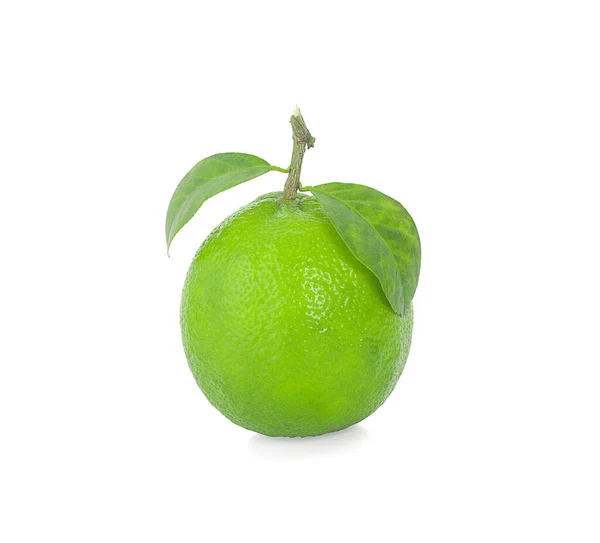 Lime Isolated White Background — Stock Photo, Image