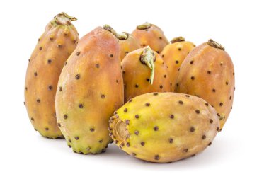 Hint inciri, opuntia