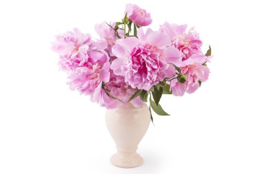 Pembe şakayık çiçeği