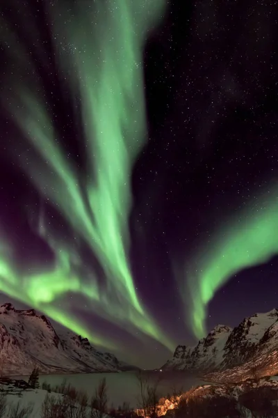 Aurora Borealis Северное Сияние Северной Норвегии Озил Квалойя Эрсбергботн — стоковое фото