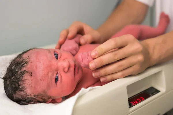 Νεογέννητο Μωρό Ένα Βάρος Κοιτάζοντας Απευθείας Στην Κάμερα Χέρι Μαία — Φωτογραφία Αρχείου