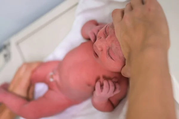 Bebé Recién Nacido Examinado Hospital Justo Después Del Parto Medición —  Fotos de Stock