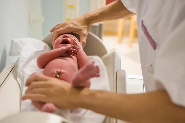 Bebé Recién Nacido Examinado Hospital Justo Después Del Parto Medición Imagen de archivo