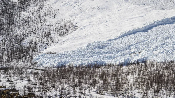 가까운 노르웨이 눈사태 — 스톡 사진
