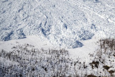 Kuzey Norveç 'te büyük bir çığ, Tromso yakınlarında.