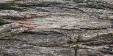 Ahşap stili arka plan boşa 